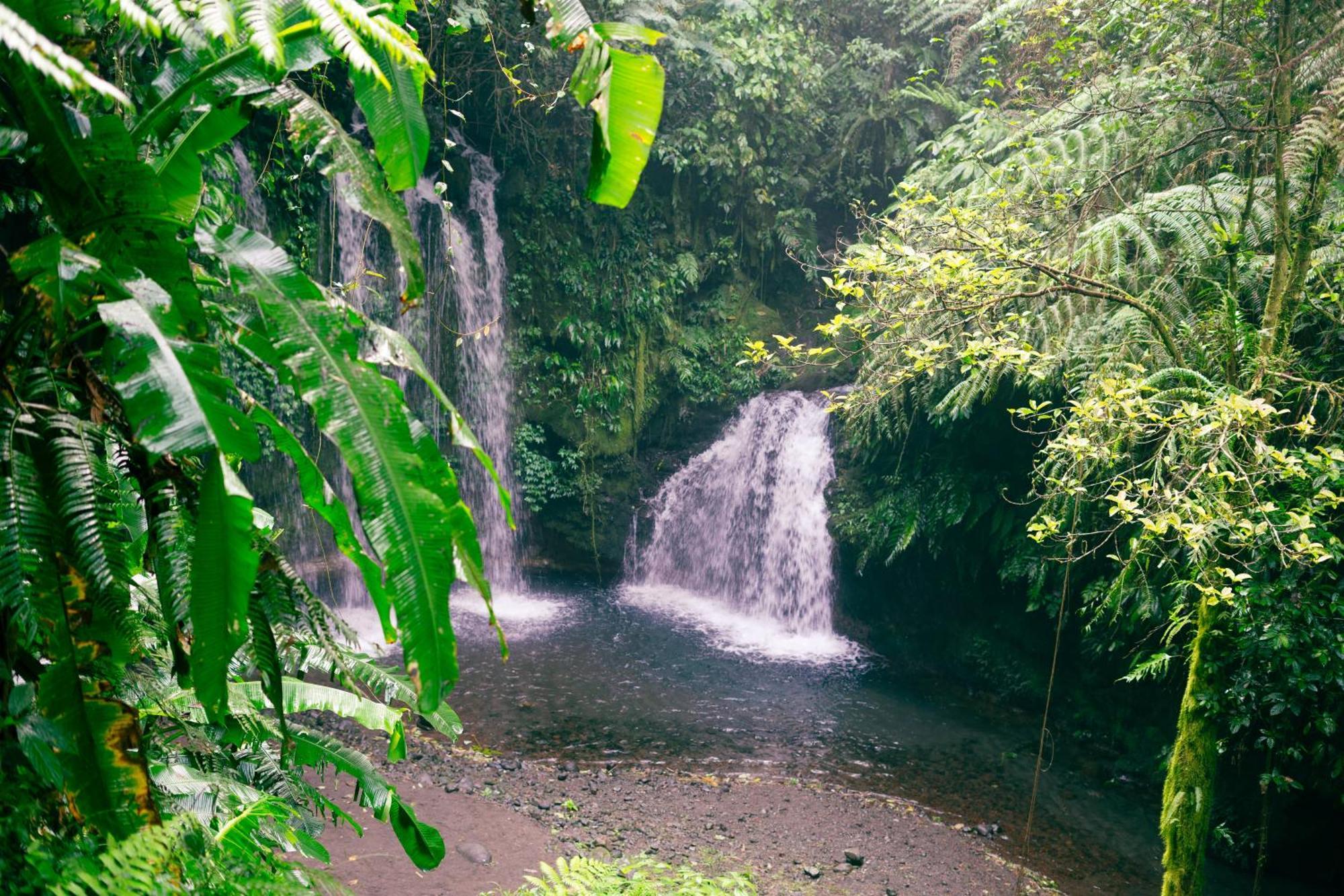 Santya Loka Lodge & Twin Waterfall Jatiluwih Extérieur photo