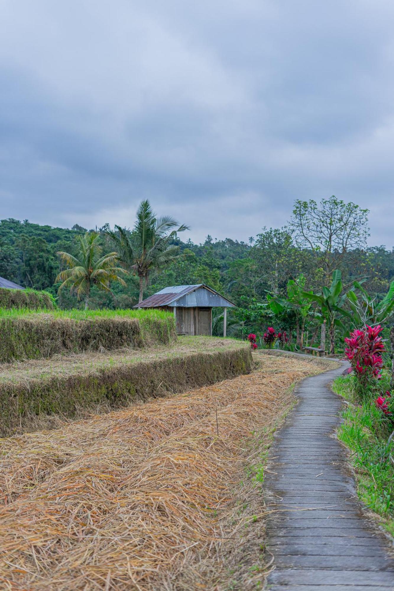 Santya Loka Lodge & Twin Waterfall Jatiluwih Extérieur photo