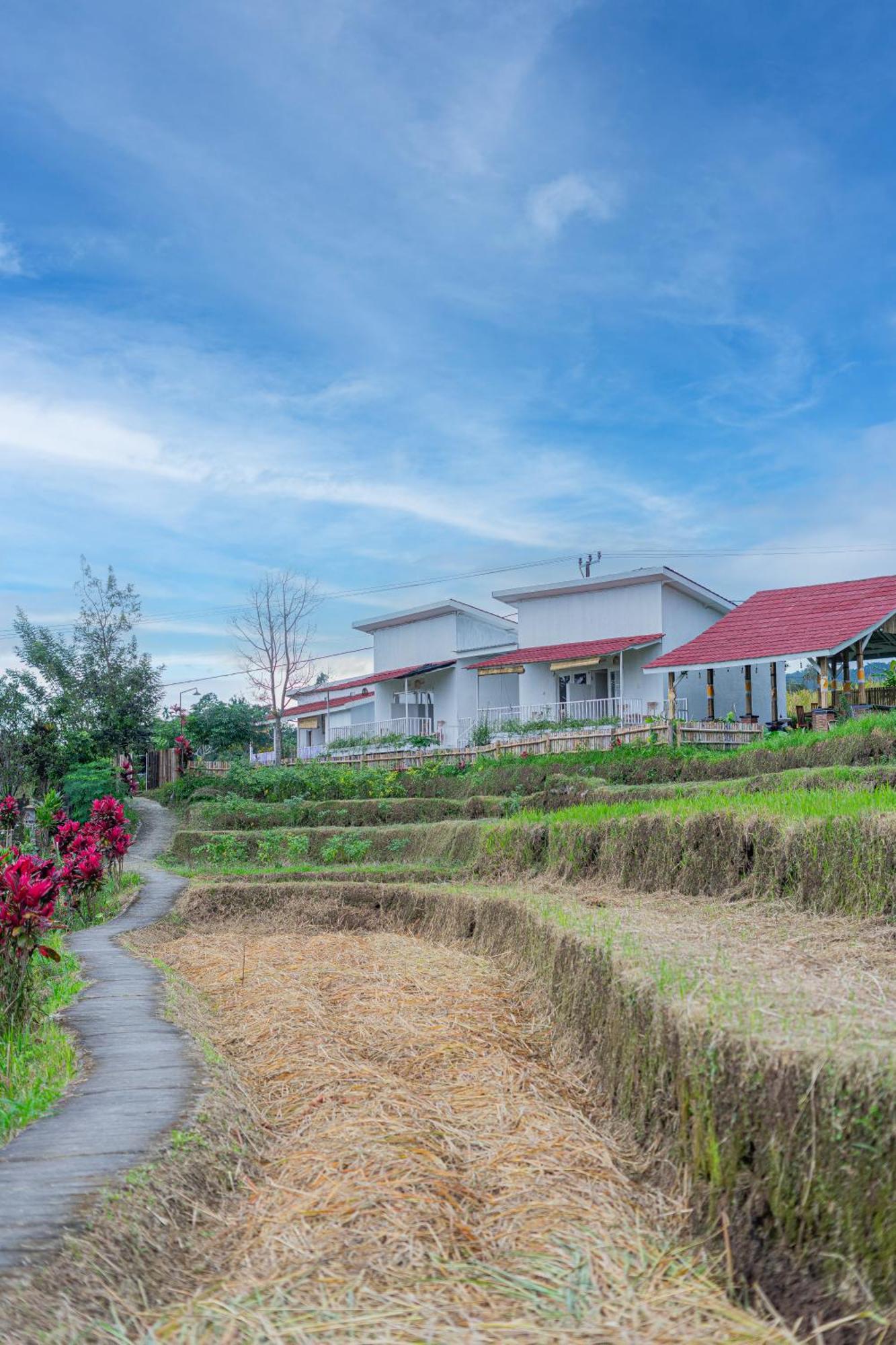 Santya Loka Lodge & Twin Waterfall Jatiluwih Extérieur photo