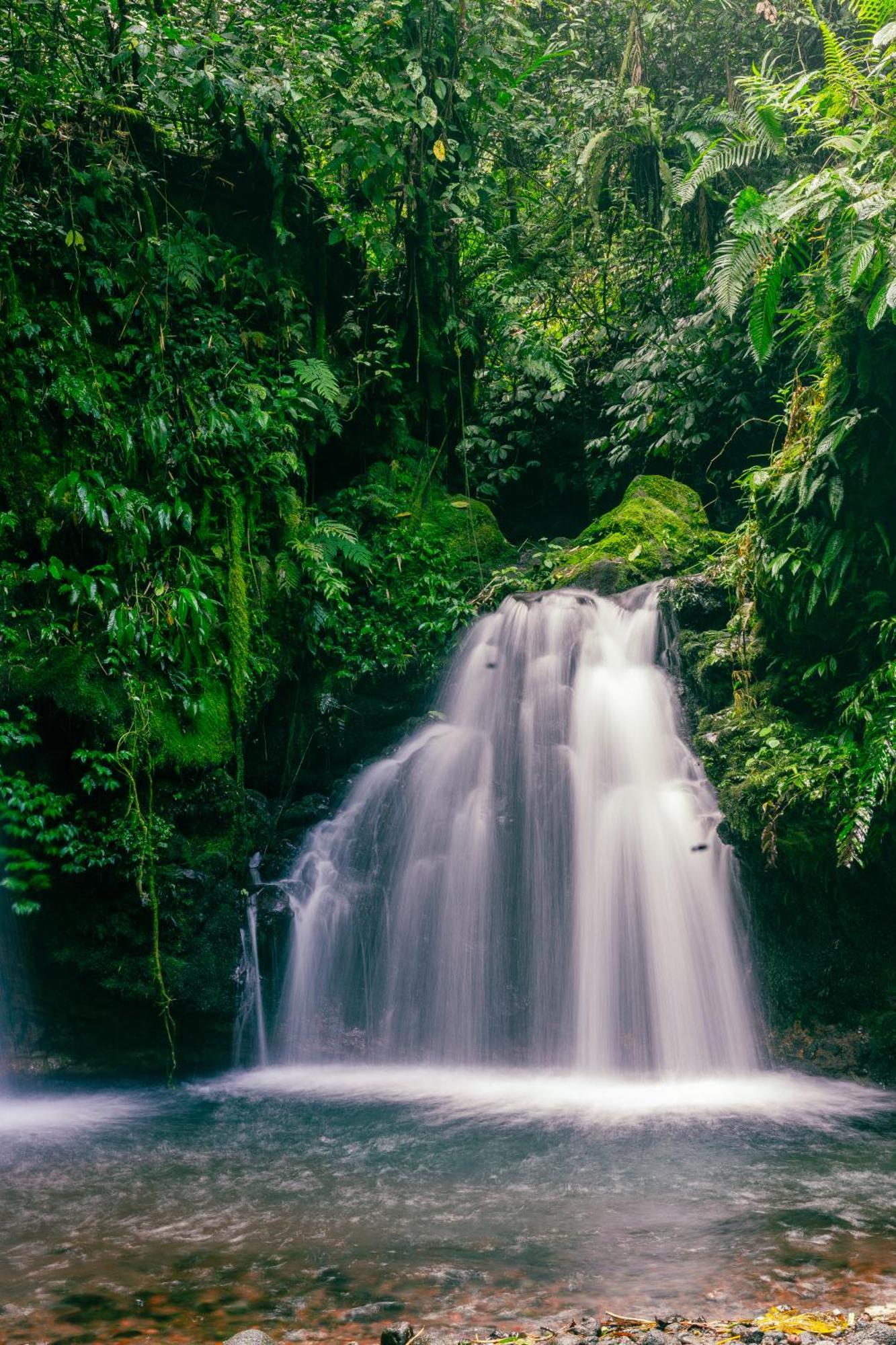 Santya Loka Lodge & Twin Waterfall Jatiluwih Extérieur photo
