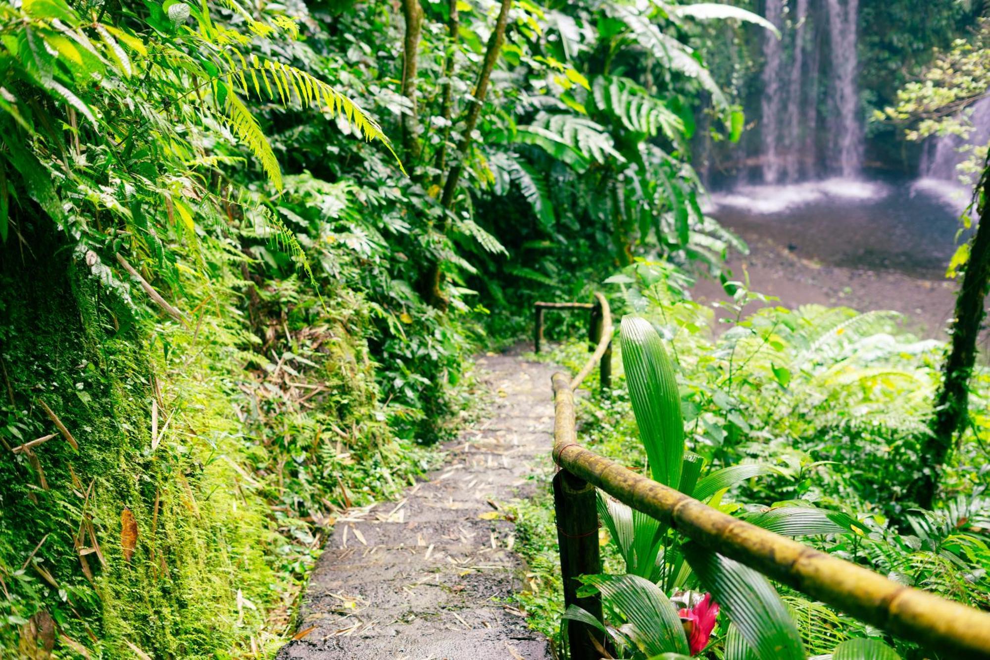 Santya Loka Lodge & Twin Waterfall Jatiluwih Extérieur photo