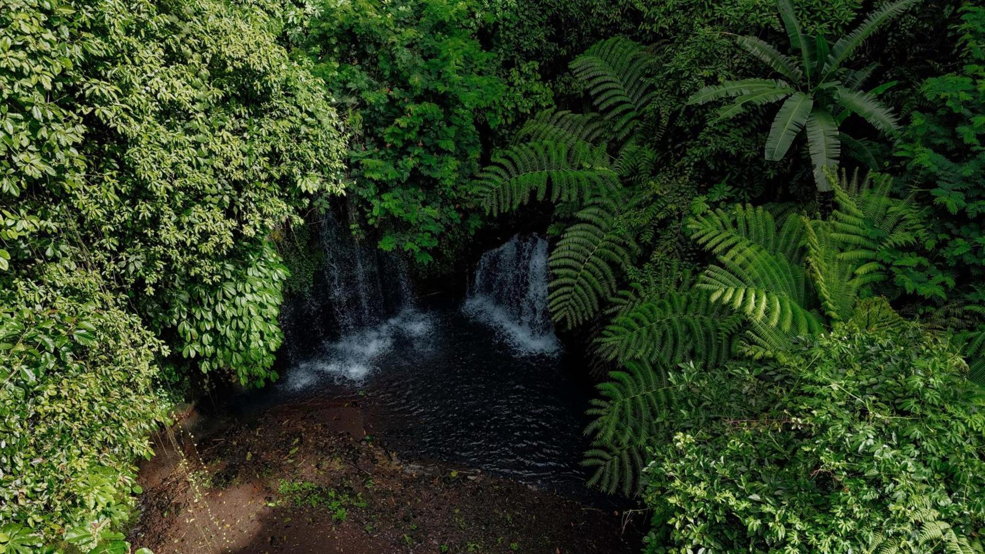 Santya Loka Lodge & Twin Waterfall Jatiluwih Extérieur photo