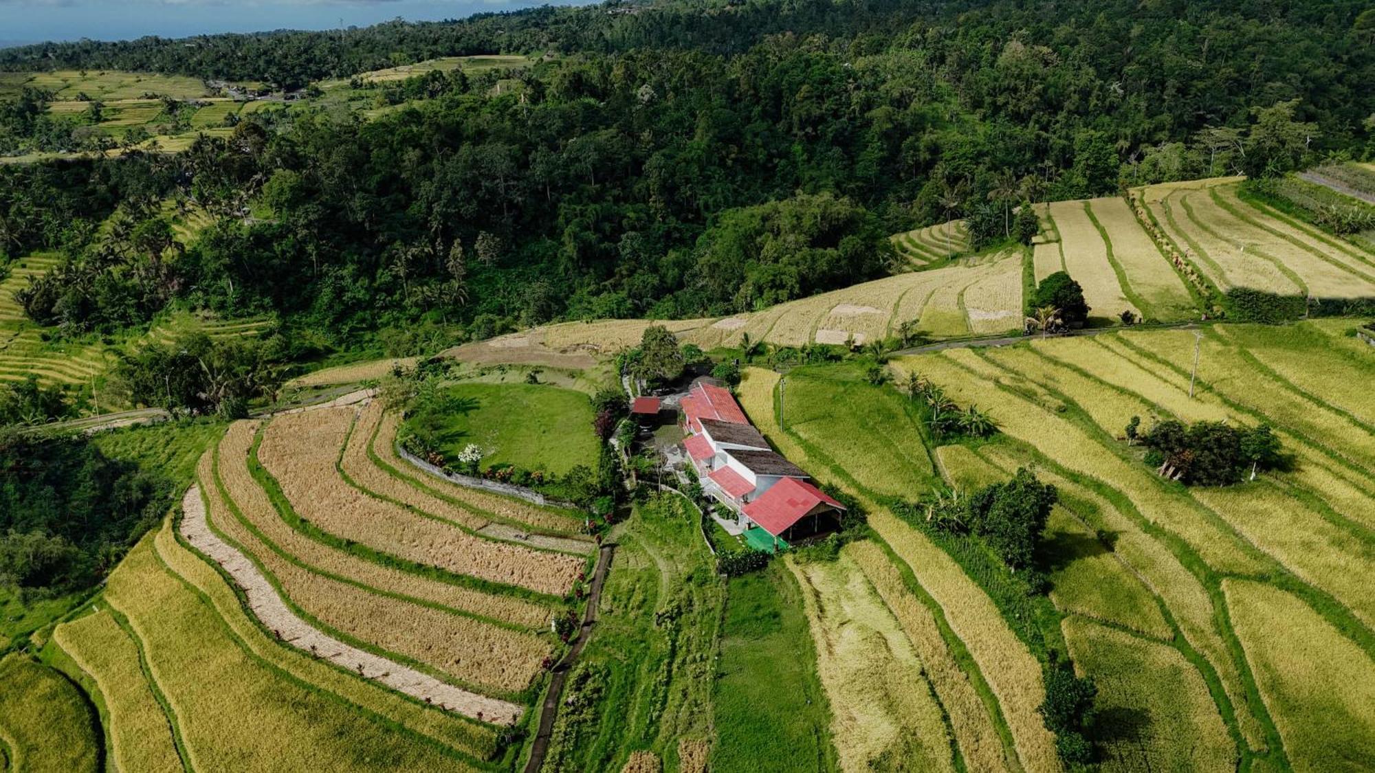Santya Loka Lodge & Twin Waterfall Jatiluwih Extérieur photo