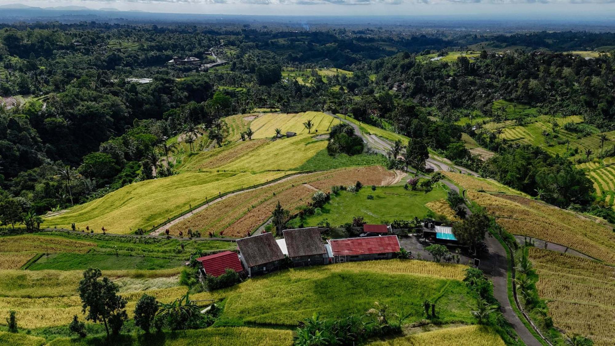Santya Loka Lodge & Twin Waterfall Jatiluwih Extérieur photo