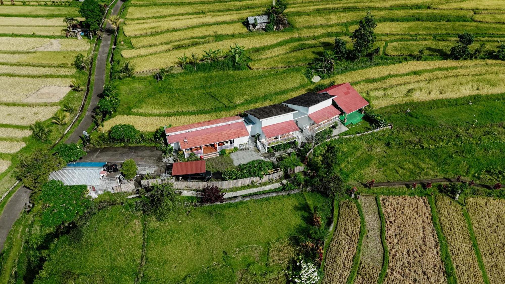 Santya Loka Lodge & Twin Waterfall Jatiluwih Extérieur photo